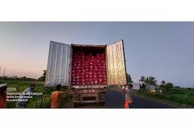 Potatoes moving through export loading equipment